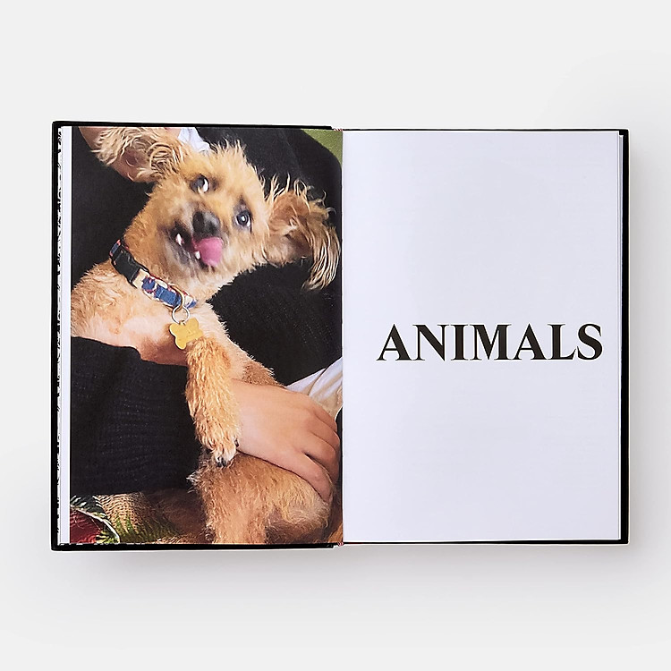 Palace Product Descriptions - Ảnh 3