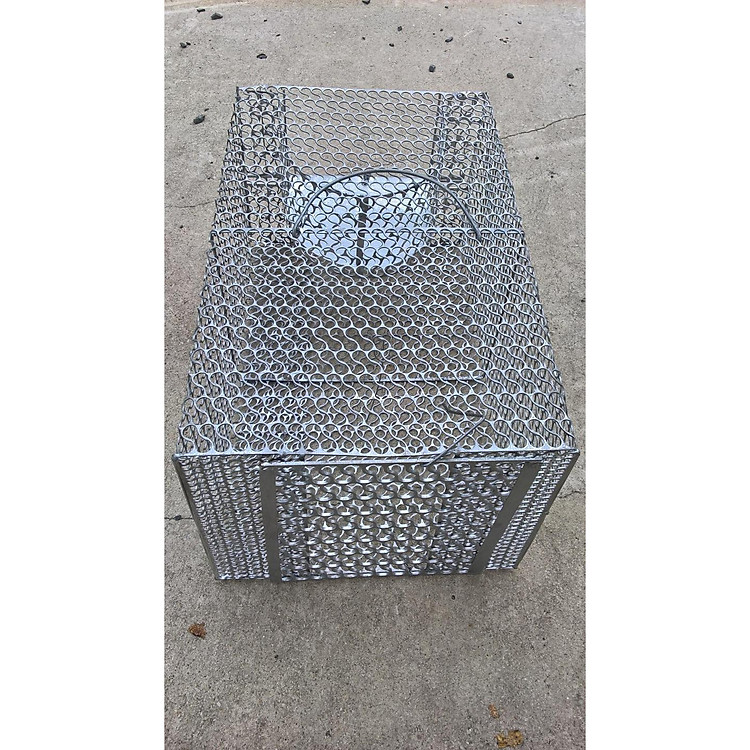 Bẫy Chuột Cửa Tự Động Thông Minh