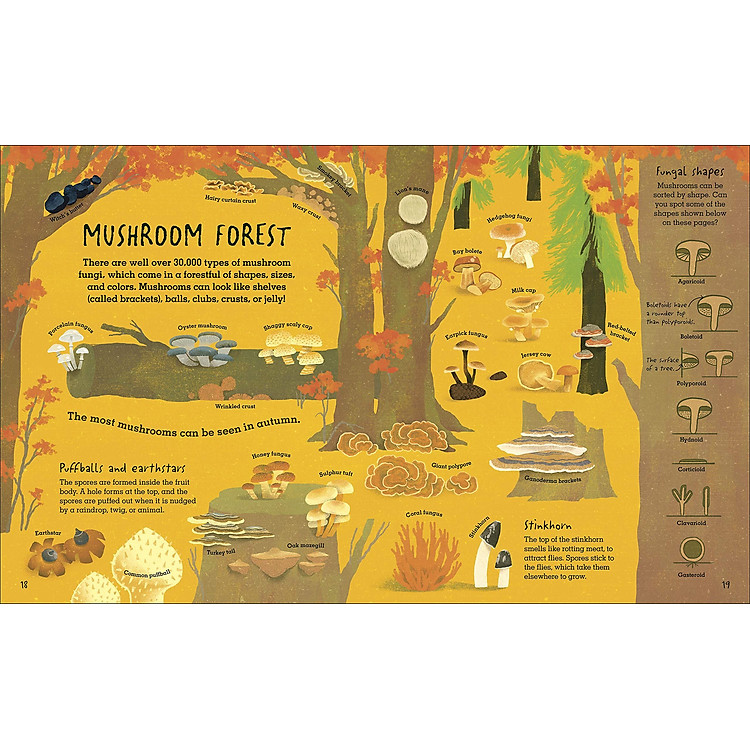 Humongous Fungus - Ảnh 4