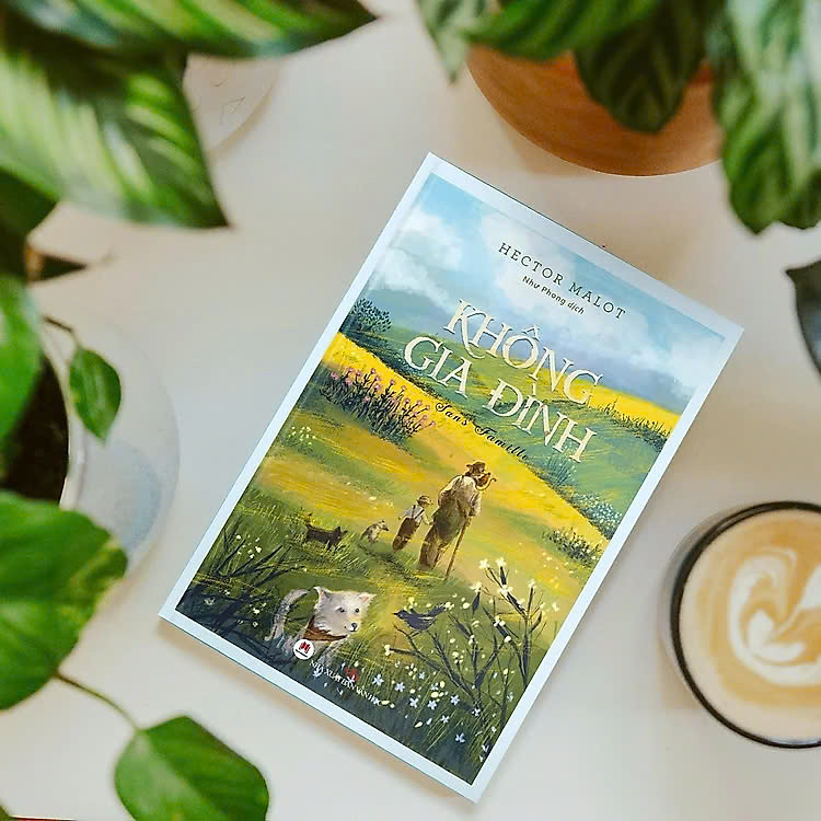 Không Gia Đình - Ảnh 2