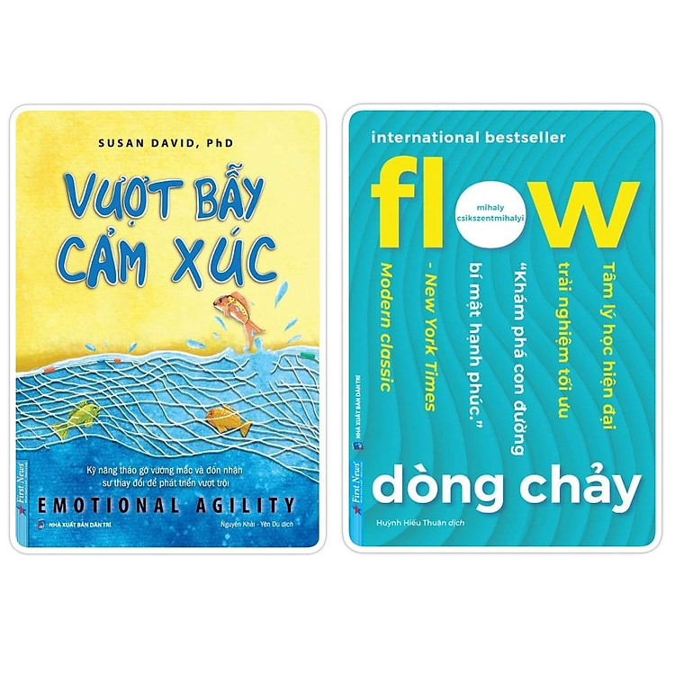 Vượt Bẫy Cảm Xúc + Flow Dòng Chảy