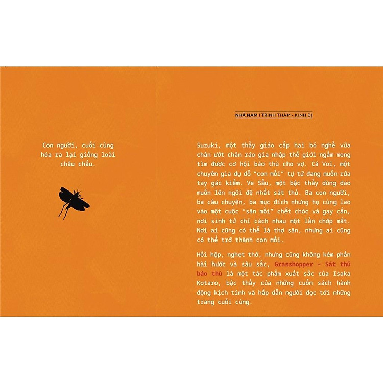 Grasshopper - Sát Thủ Báo Thù - Ảnh 3