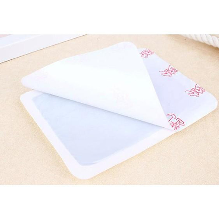 Miếng Dán Giữ Nhiệt Con Chuột Túi 88212 (1 gói) - Ảnh 4