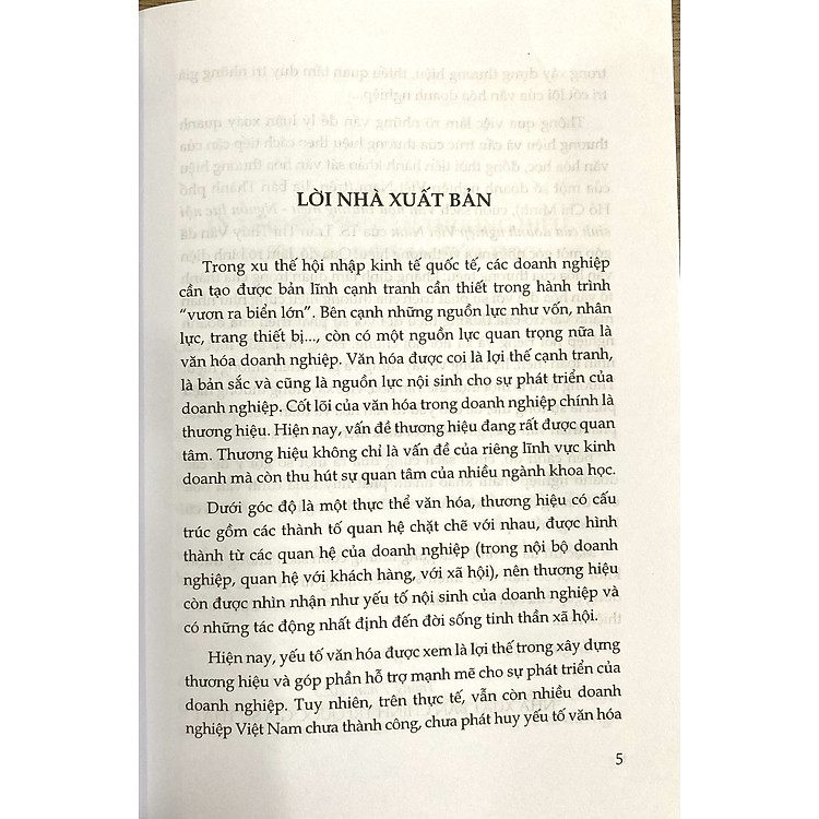Văn Hoá Thương Hiệu Nguồn Lực Nội Sinh Của Doanh Nghiệp Việt Nam - Ảnh 2