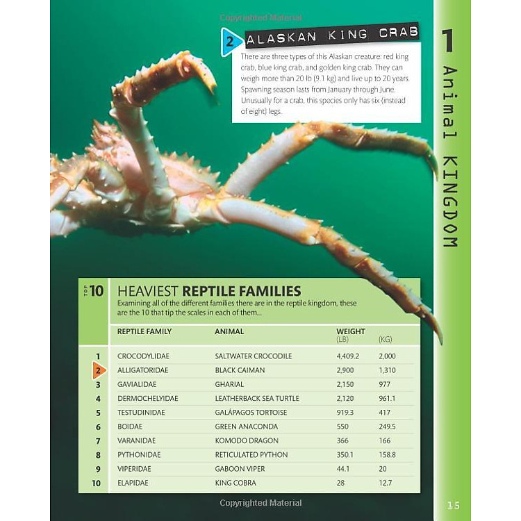 Top 10 of Everything 2018 - Ảnh 3