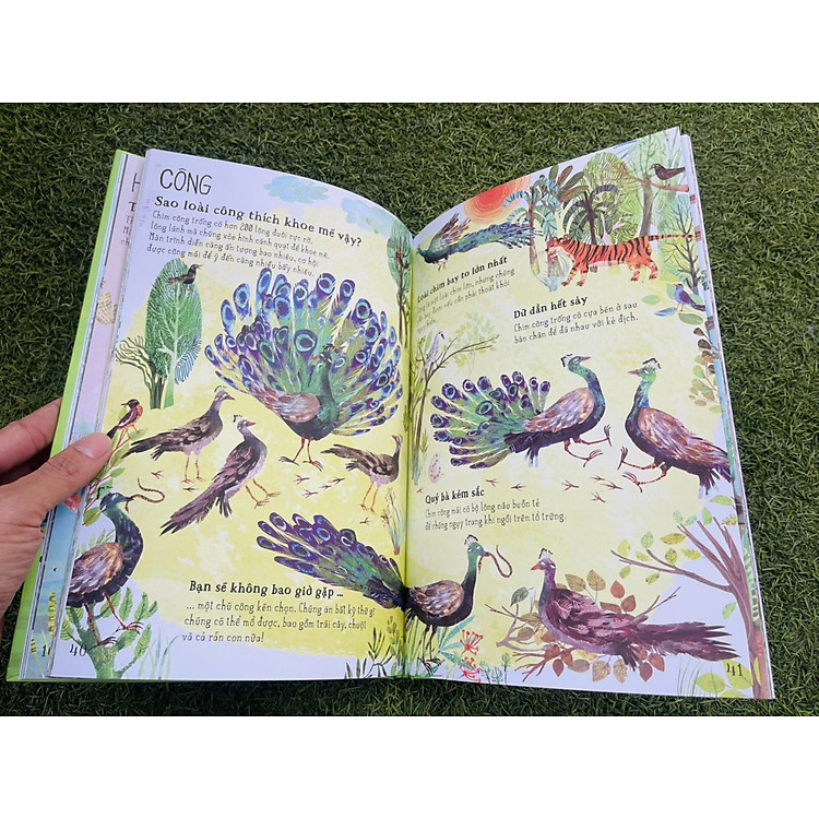 Bộ A Lê Hấp! - Ảnh 3