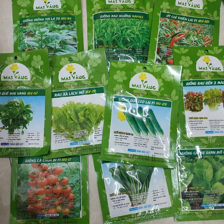 Combo hạt giống_10 loại rau củ quả dễ trồng, dễ chăm sóc tại nhà