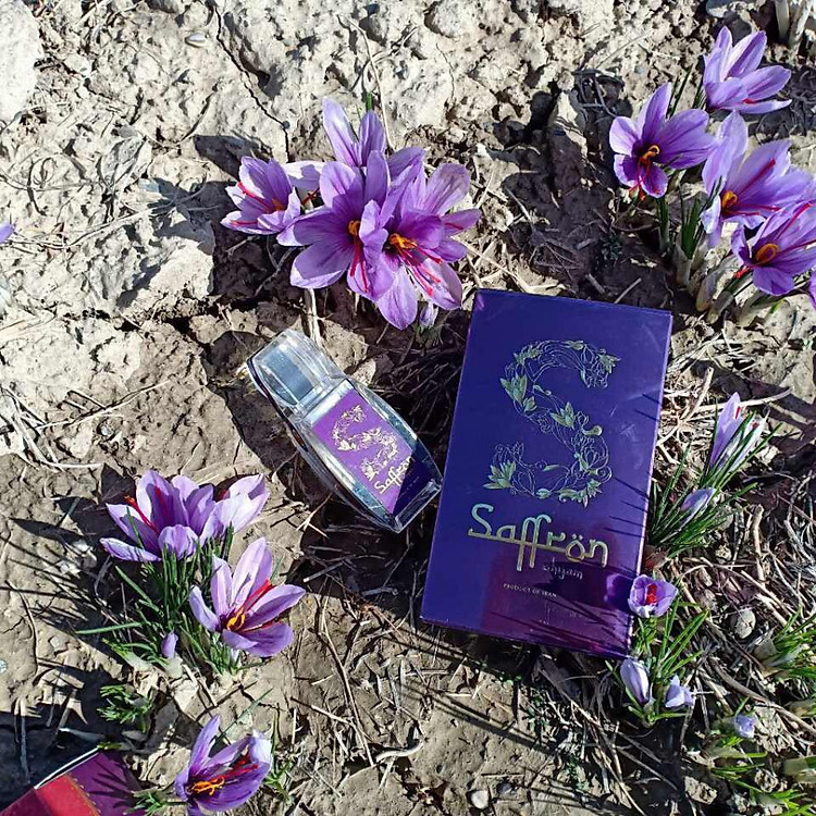 Nhụy Hoa Nghệ Tây Saffron Shyam Xanh