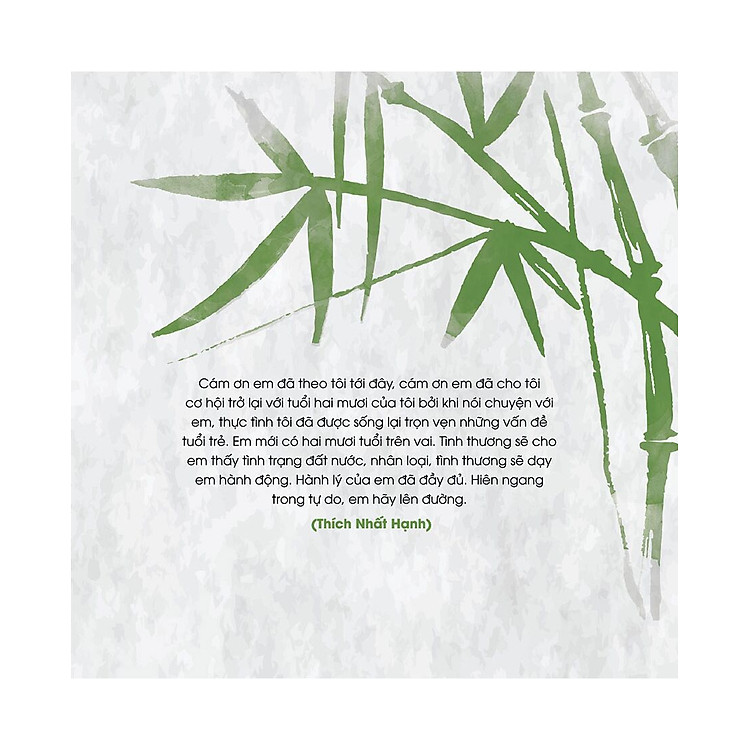 Thích Nhất Hạnh - Nói với tuổi hai mươi - Ảnh 2