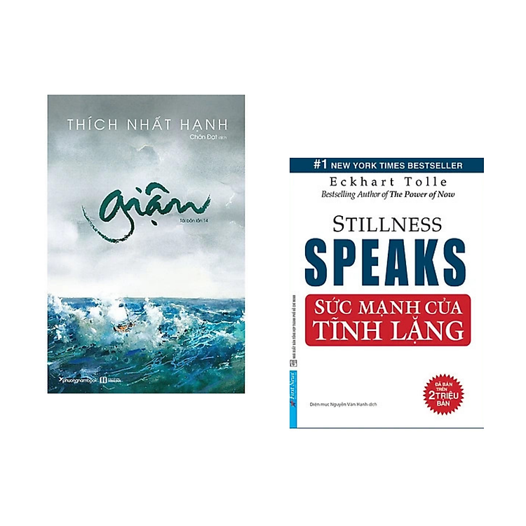Combo 2 cuốn: Giận (Cuốn sách hay của Thiền sư Thích Nhất Hạnh) + Sức Mạnh Của Tĩnh Lặng
