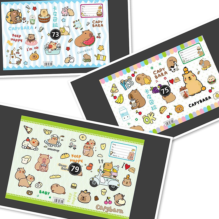 Xấp 10 Cái Bao Tập Hình (155*205mm)