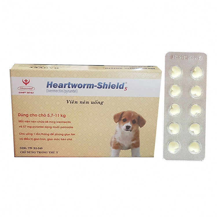 Tẩy giun cho chó giun tròn giun móc giun tim