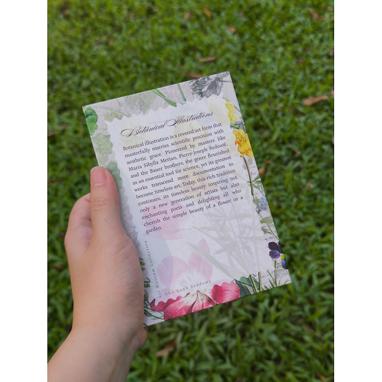 Bộ Postcard Petala & Folia - Giấy Mỹ Thuật 300g (100 chiếc) - Ảnh 4