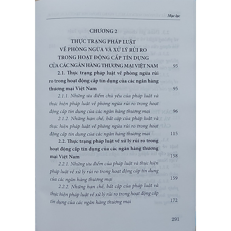 Pháp luật về phòng ngừa và xử lý rủi ro trong hoạt động cấp tín dụng của các ngân hàng thương mại ở Việt Nam - Ảnh 5