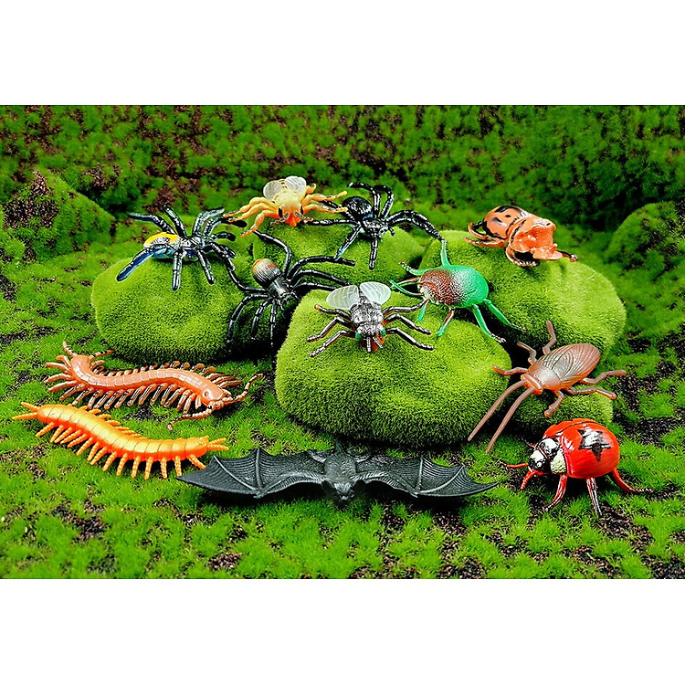 Bộ 12 côn trùng giả giáo dục New4all Chính hãng Ưu đãi - Hình ảnh 2