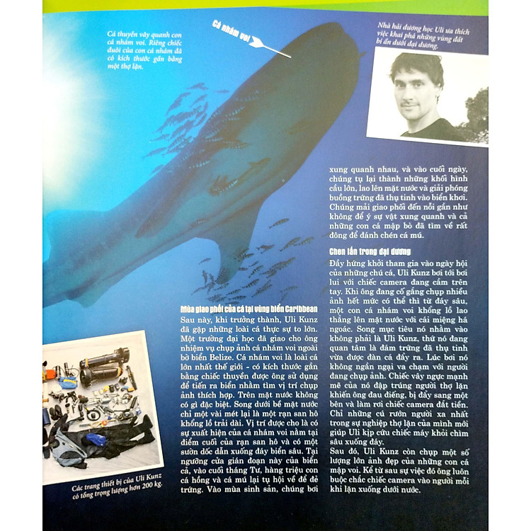 Thế Nào Và Tại Sao - Các Loài Cá - Thế Giới Diệu Kì Dưới Nước (Tái Bản 2023) - Ảnh 3