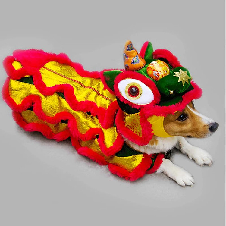 Quần Áo Tết cho Chó Mèo.