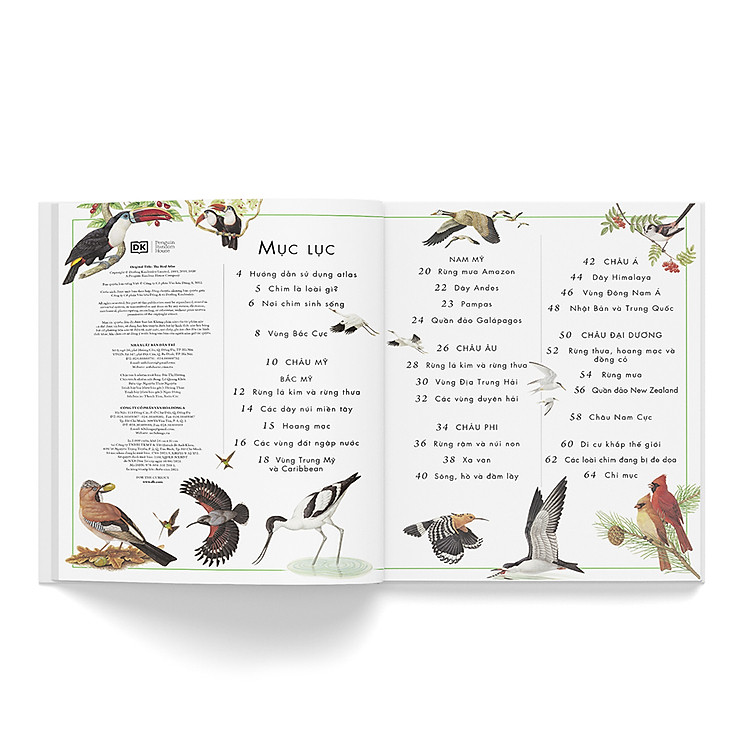 Atlas các loài chim - Ảnh 3