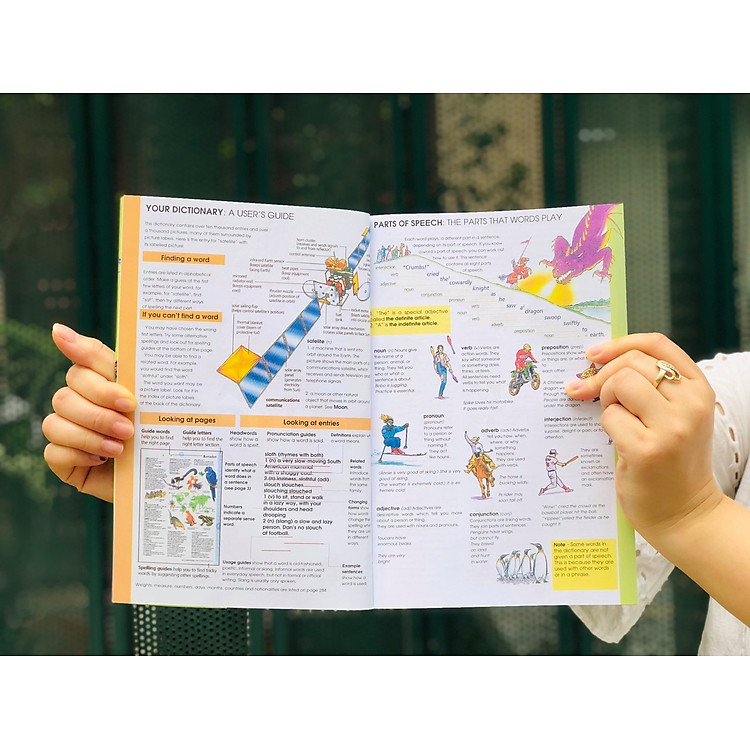 Từ Điển Anh Việt - Minh Họa Hình Ảnh - Ảnh 5