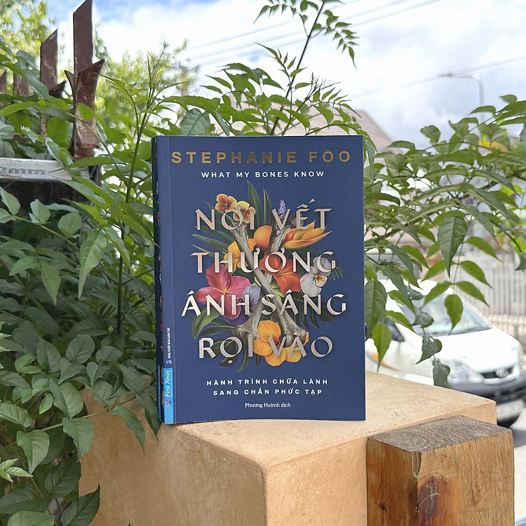 What My Bones Know - Nơi Vết Thương Ánh Sáng Rọi Vào - Hành Trình Chữa Lành Sang Chấn Phức Tạp - Ảnh 4