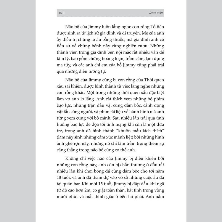 Đánh Thức Não Bộ - Kích Hoạt Năng Lực Tiềm Ẩn Của Não Bộ Để Loại Bỏ Suy Nghĩ Và Hành Vi Tiêu Cực - Ảnh 9