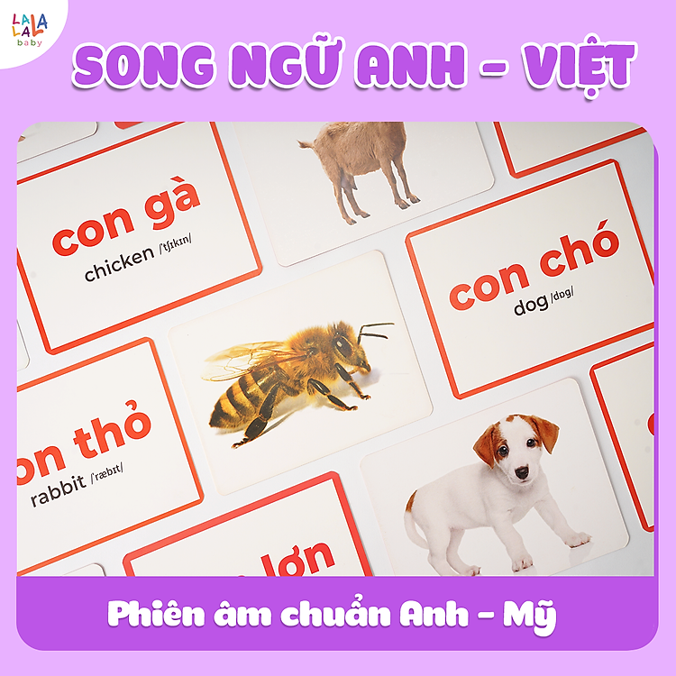 Bộ 100 Thẻ Học Thông Minh Glenn Doman Chính hãng Ưu đãi - Hình ảnh 4