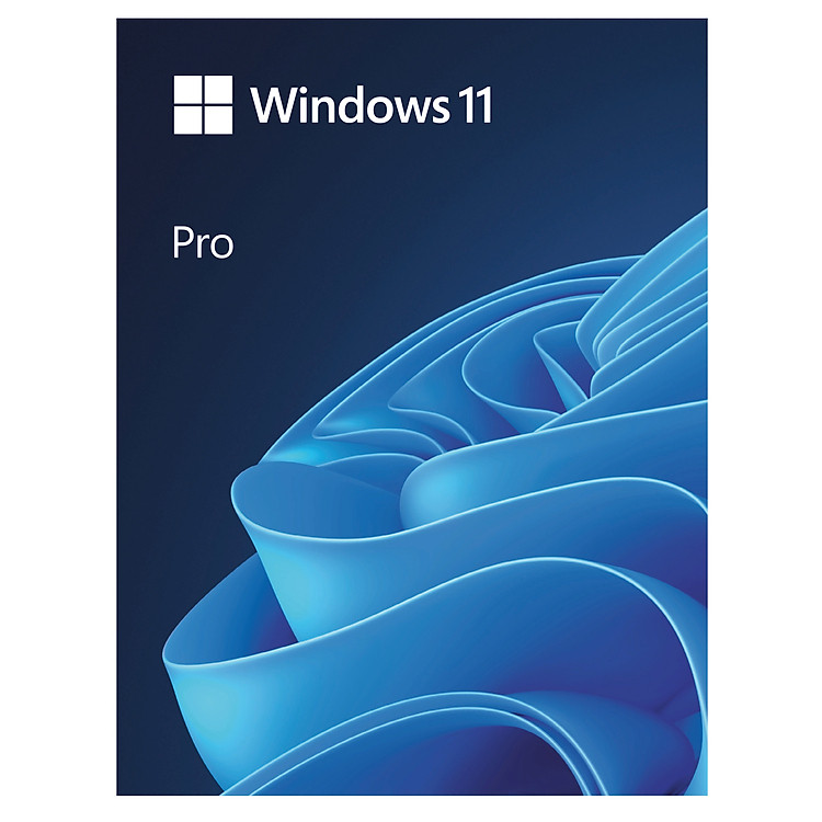 Phần mềm bản quyền Windows 11 Pro FPP 64-bit Eng Intl USB ( HAV-00163 ) - Hàng Chính Hãng