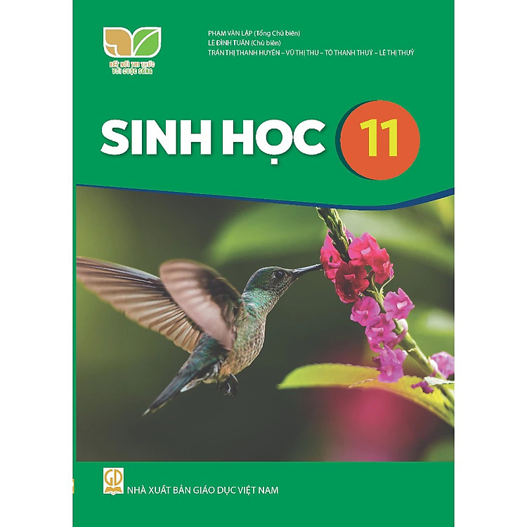 Giáo Khoa Sinh Học 11 – Kết Nối Tri Thức Với Cuộc Sống