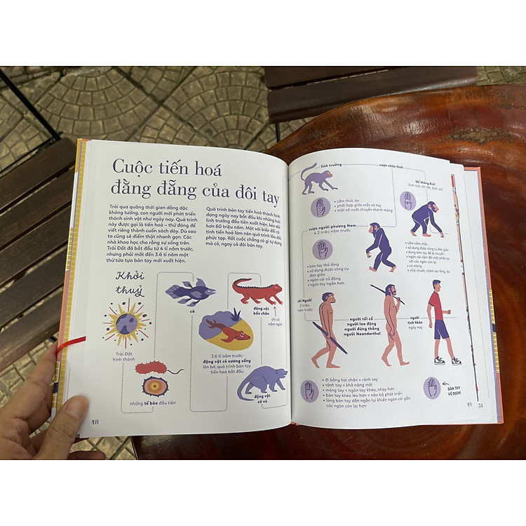 TỎ TƯỜNG TAY TA – Bách Khoa Toàn Thư Về Đôi Tay - Ảnh 6