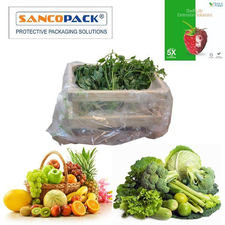 SET 10 Bao Bảo Quản Trái Cây Rau Củ MAP KIF Biến Đổi Khí Quyển dùng ở Nhiệt Độ thường 64 x 71cm