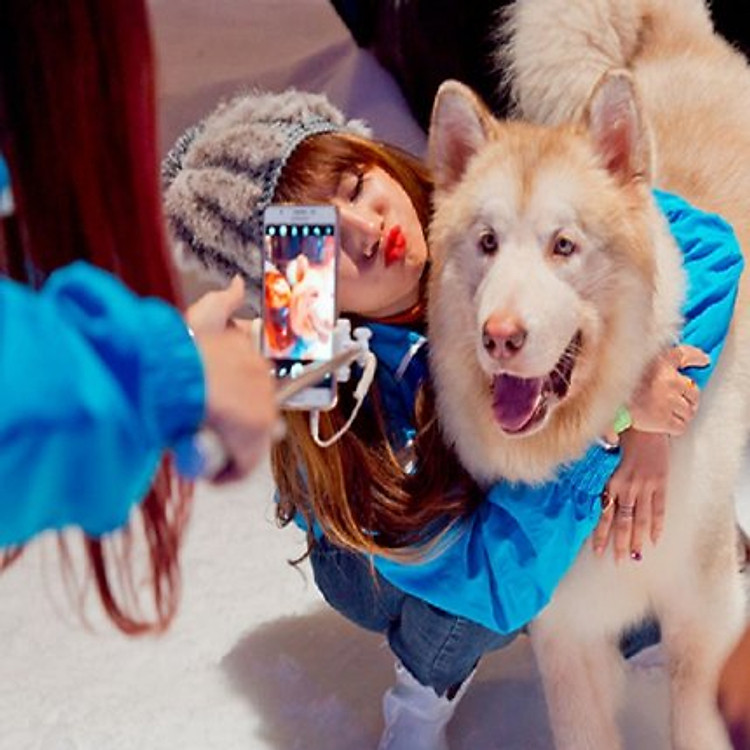 Vé Vào Khu chơi khu vui chơi thành phố Tuyết Snow Town Sài Gòn - Áp dụng cả ngày Lễ