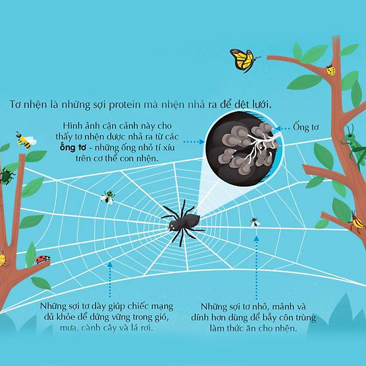 100 Bí Ẩn Đáng Kinh Ngạc Về Khoa Học - Ảnh 6