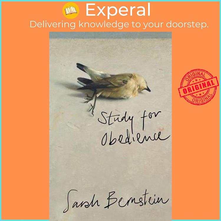 Sách - Study for Obedience by Sarah Bernstein (UK edition, Hardback)