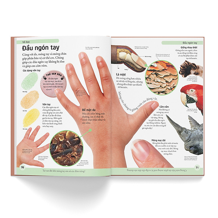 Bách Khoa Cho Trẻ Em – Cơ Thể Người - Ảnh 5