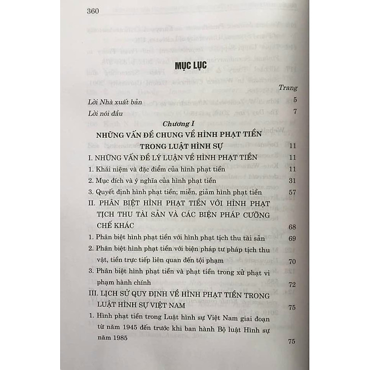Hình Phạt Tiền Trong Pháp Luật Hình Sự Việt Nam Và Thực Tiễn Áp Dụng - Ảnh 2