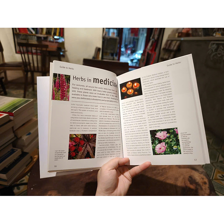 Guide to Herb With Journal by Jenny Linford - Ảnh 7