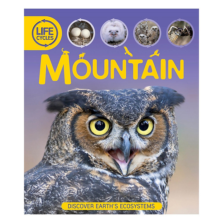 Sách Life Cycles: Mountain