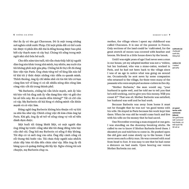 Không Gia Đình - Nobody’s Boy (Tập 1) - Ảnh 6