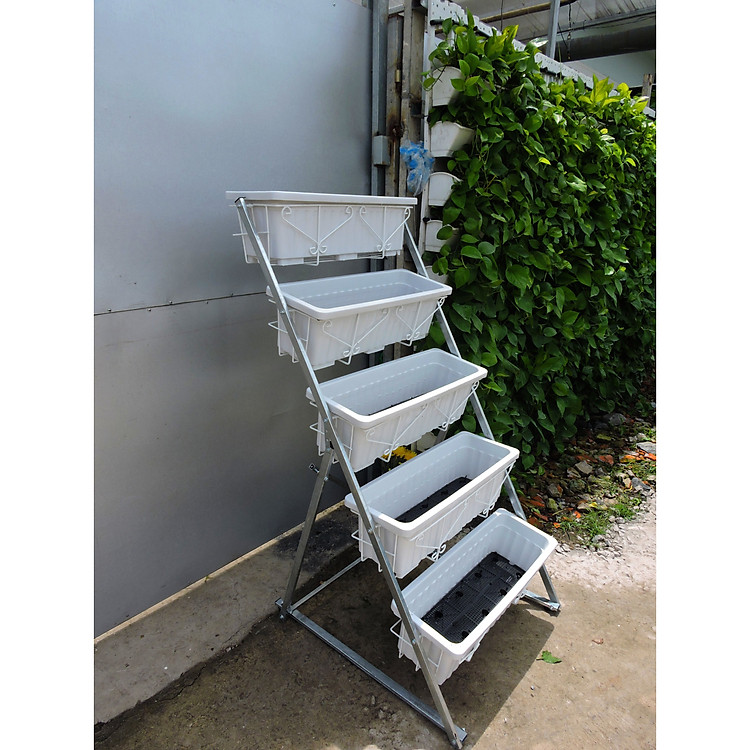 Kệ trồng rau thông minh