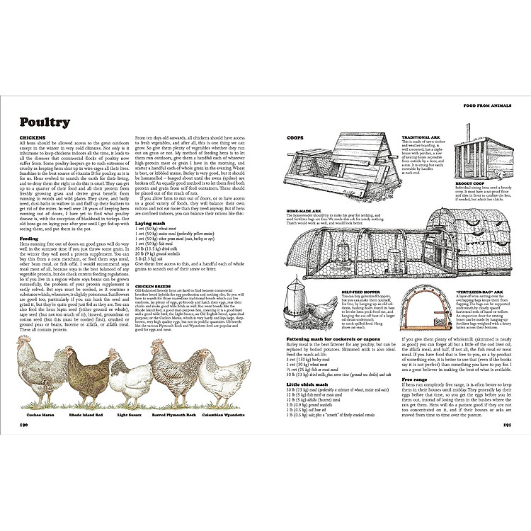 The Complete Book Of Self-Sufficiency - The Classic Guide For Realists And Dreamers - Ảnh 5