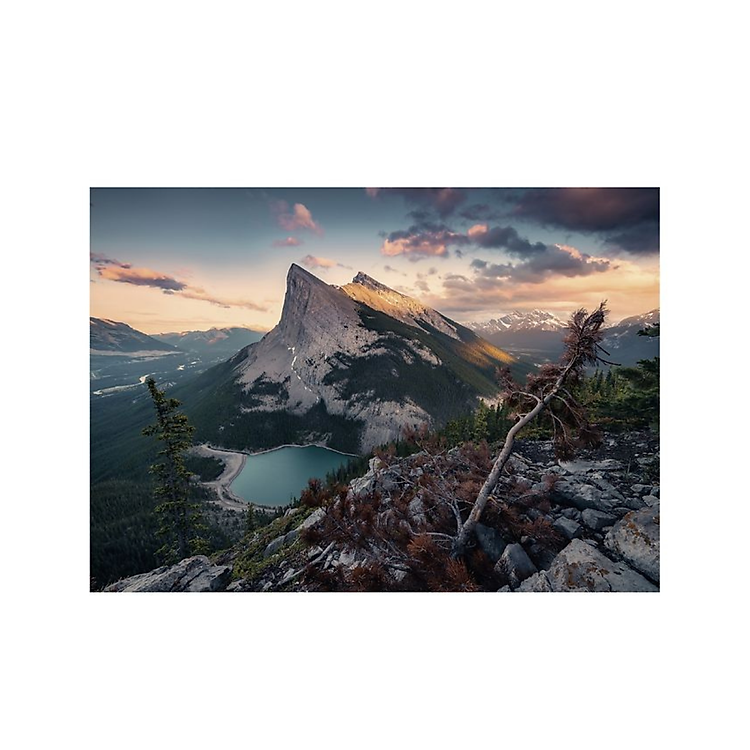 Puzzle Wild Nature 1000 mảnh RAVENSBURGER Chính hãng Giá rẻ - Hình ảnh 3