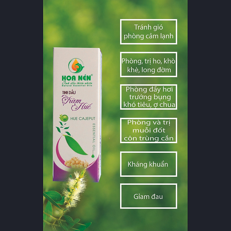 Tinh dầu Tràm ngâm củ nén 10ml Chính hãng Tiết kiệm - Hình ảnh 2