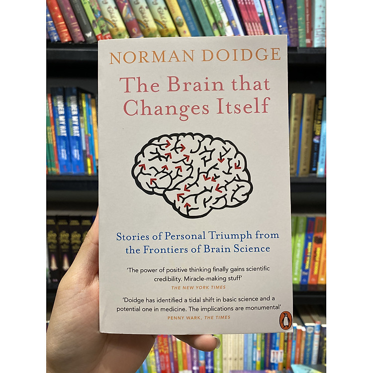 The Brain that Changes Itself - Ảnh 3
