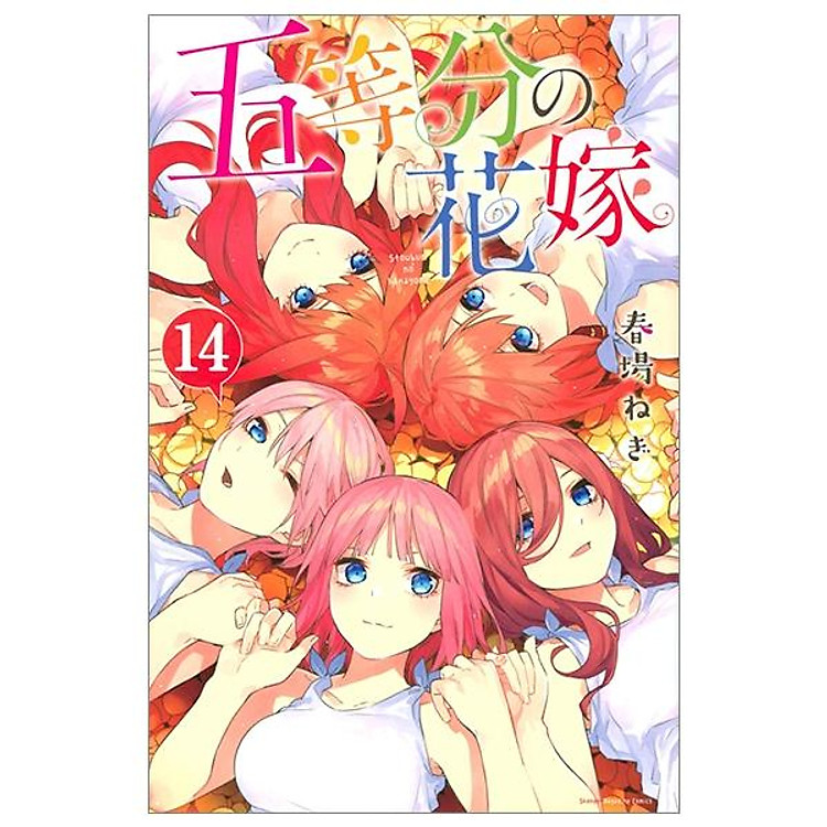 Shingeki no Kyojin 26 – Attack On Titan 26