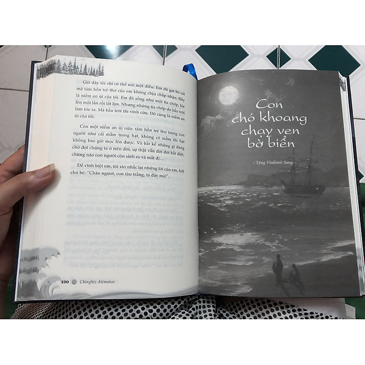 Con tàu trắng - Ảnh 2