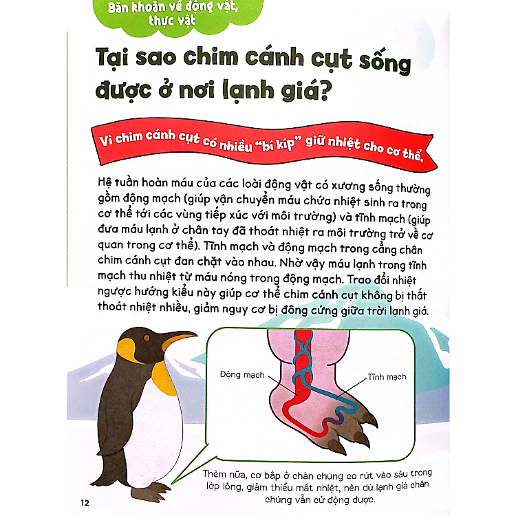 Gi Gỉ Gì Gi, Cái Gì Cũng Biết - Dành Cho Lớp 3 - Ảnh 4