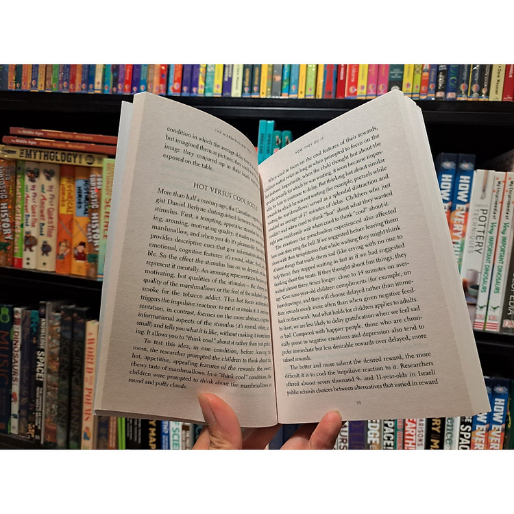 The Marshmallow Test: Understanding Self-control and How To Master It - Ảnh 3