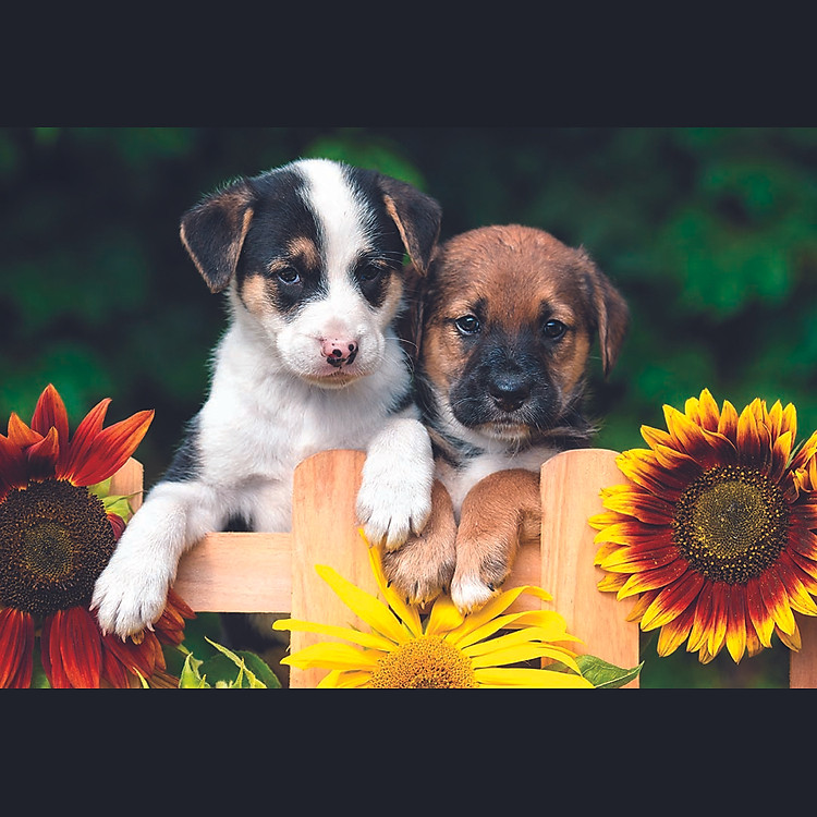 Tranh xếp hình Cún Con Đón Mẹ Chính hãng Giá rẻ - Hình ảnh 2