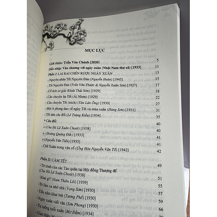 PHONG VỊ XUÂN XƯA - Ảnh 2