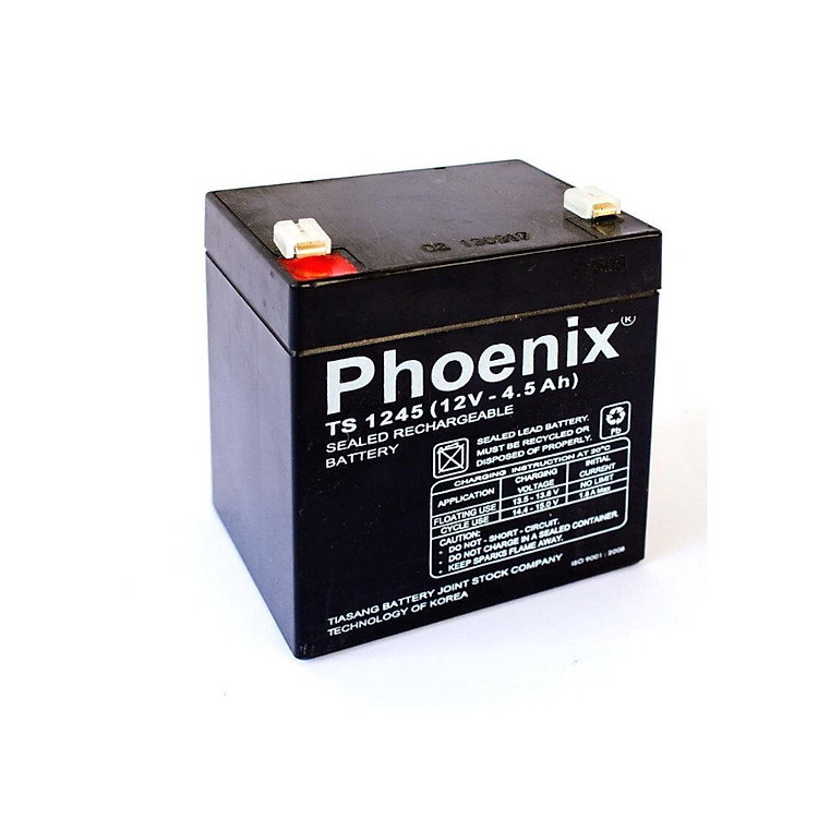 Ắc quy Phoenix TS1250 12V 5Ah